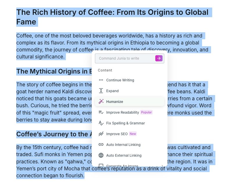 Humanize feature for AI text.