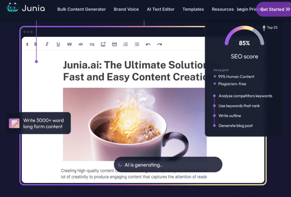 Junia AI bulk content generator.