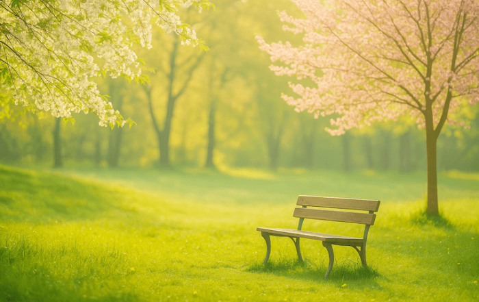 A peaceful spring path with sunlight and blooming trees.