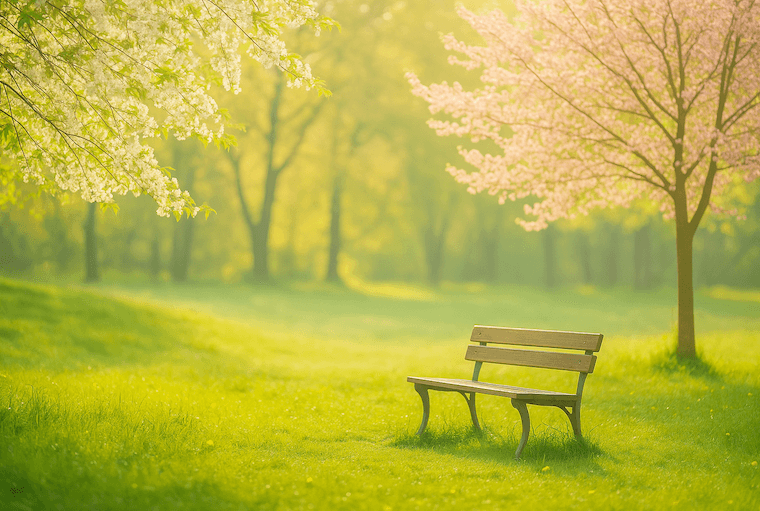 A peaceful spring path with sunlight and blooming trees.